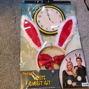 White Rabbit from Alice in Wonderland